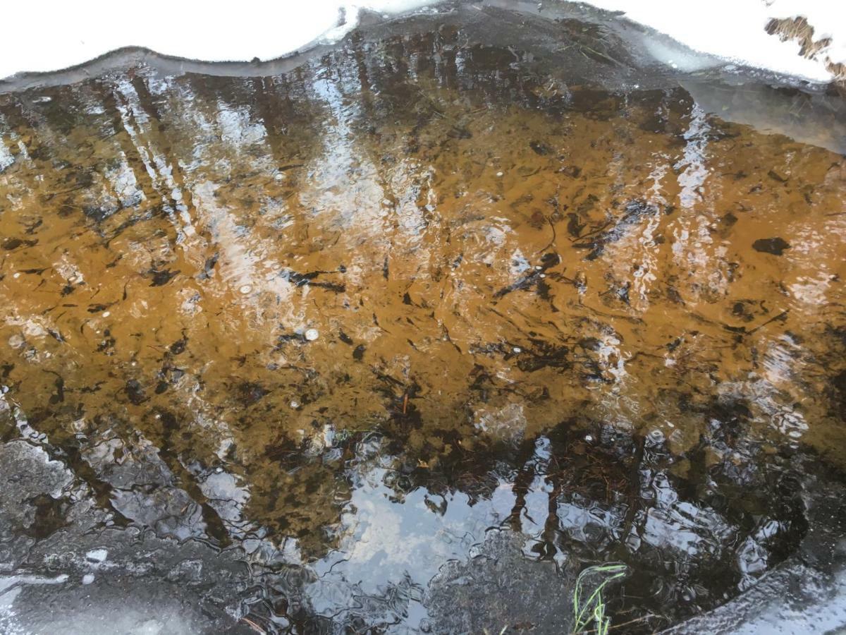 Vila Migla Paseksciai Екстериор снимка